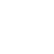 BMW_Logo