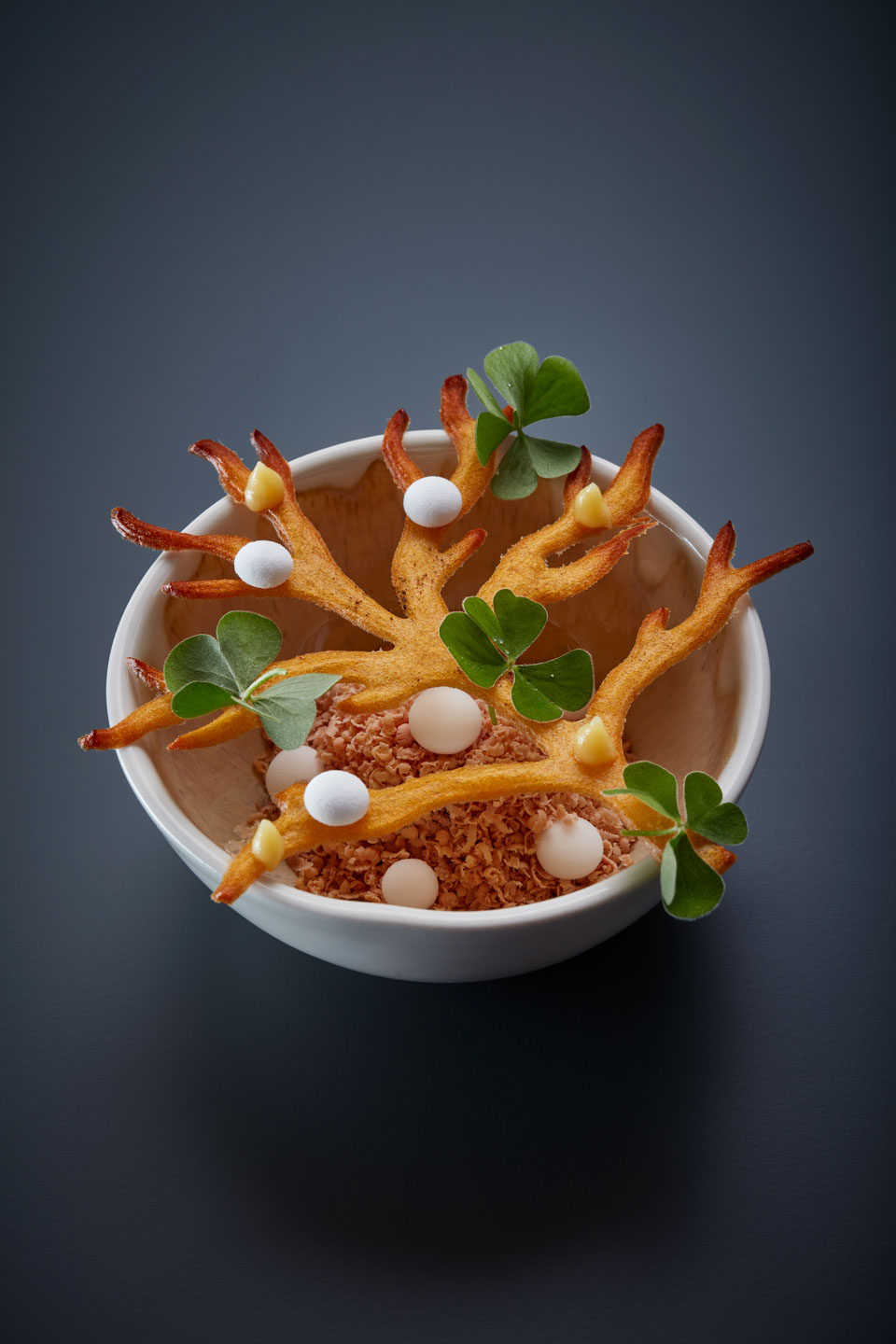 Best of Portugal, guest chef Dezember 2019, food, cookbook, Restaurant Ikarus, Hangar-7, Salzburg, Austria, 2019.12.12, Hans Neuner, Oysters Moinho dos Illheus, goose liver, Geranium, pineapple/ Best of Portugal, Gastkoch Dezember 2019, Gericht, Kochbuch, Restaurant Ikarus, Hangar-7, Salzburg, Österreich, 2019.12.12, Hans Neuner, Austern Moinho dos Illheus, Gänseleber, Geranium, Ananas