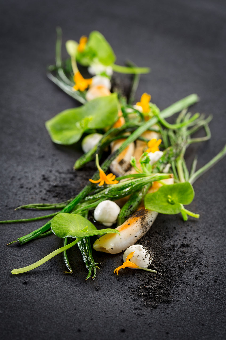 Hangar-7, Kochbuch 2014, Gastkoch, Rodolfo Guzmán, Gericht, Sautierte Messermuscheln mit Mönchsbart und fermentiertem Joghurt;