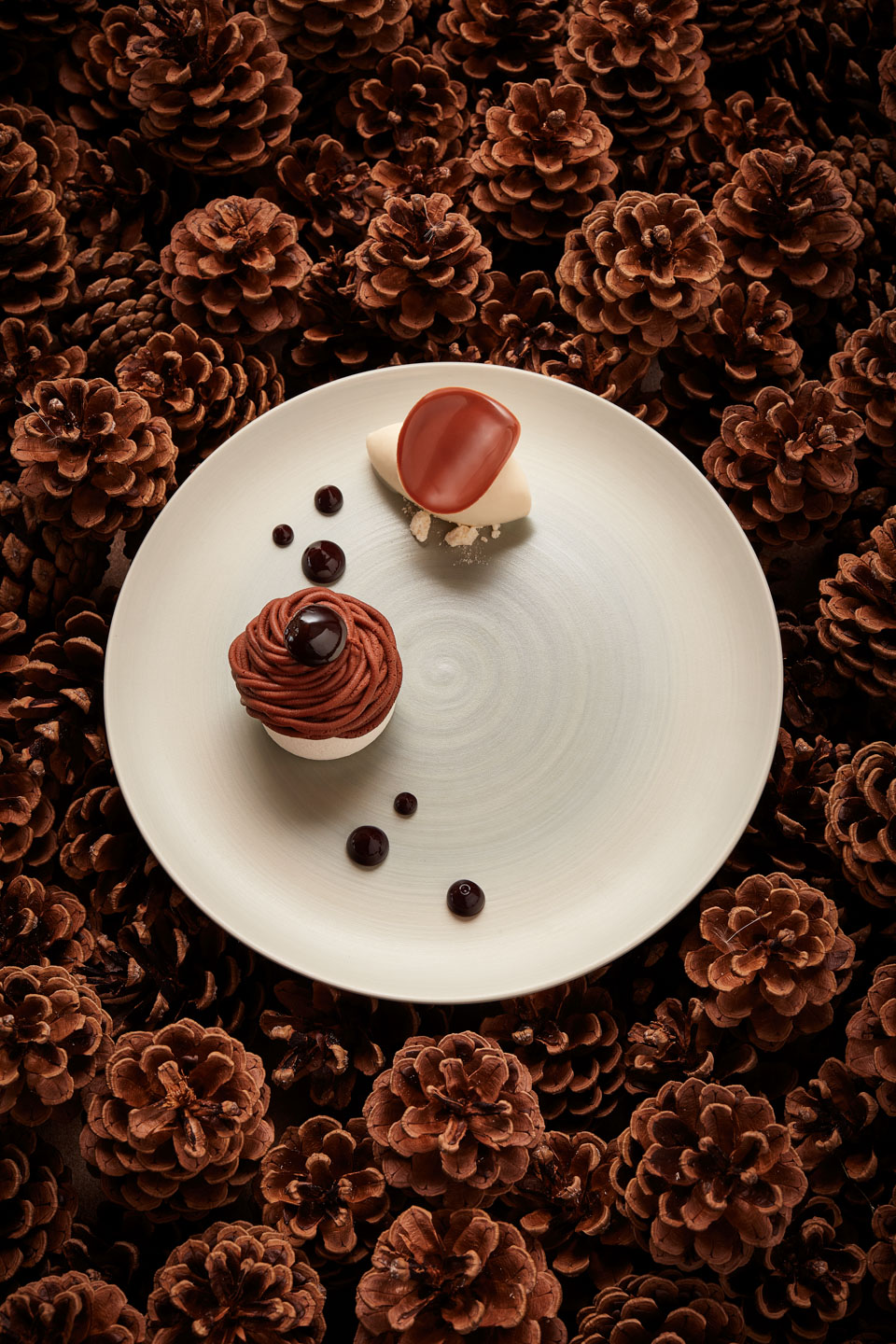 Norbert Niederkofler, guest chef December 2018, food, cookbook, Restaurant Ikarus, Hangar-7, Salzburg, Austria, 2019.01.16, Monte Bianco / Norbert Niederkofler, Gastkoch Jänner 2019, Gericht, Kochbuch, Restaurant Ikarus, Hangar-7, Salzburg, Österreich, 2019.01.16, Monte Bianco