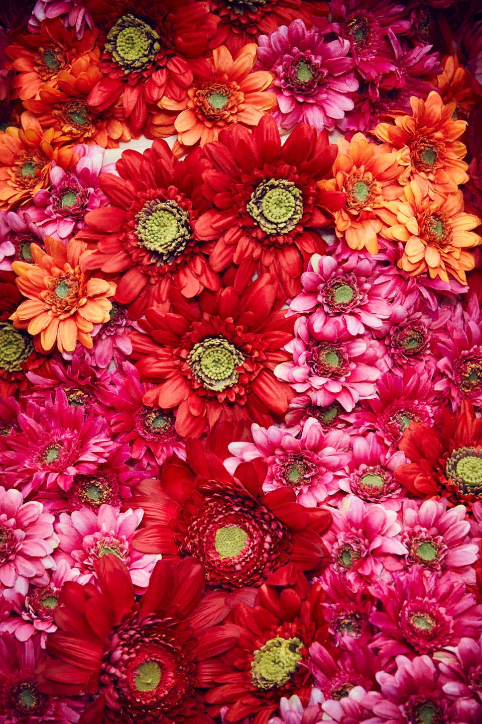 Blüten