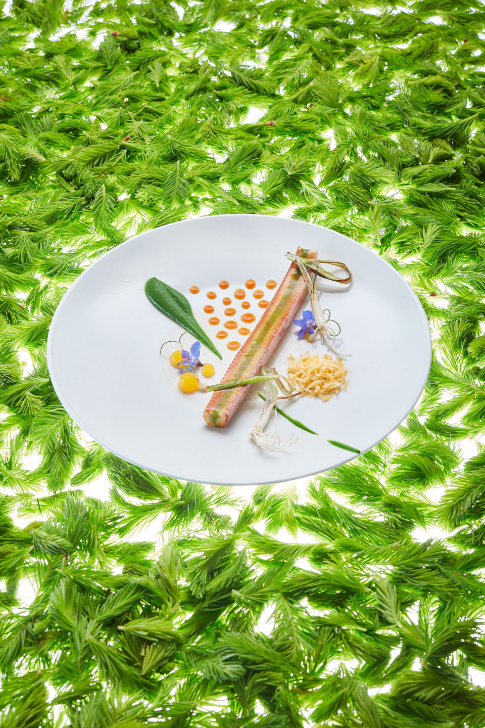 Olivier Nasti, guest chef May 2019, food, cookbook, Restaurant Ikarus, Hangar-7, Salzburg, Austria, 2019.05.07, Smoked eel, leek, orange, pike mousse / Olivier Nasti, Gastkoch Mai 2019, Gericht, Kochbuch, Restaurant Ikarus, Hangar-7, Salzburg, Österreich, 2019.05.07, Räucheraal, Lauch, Orange, Hechtmousse
